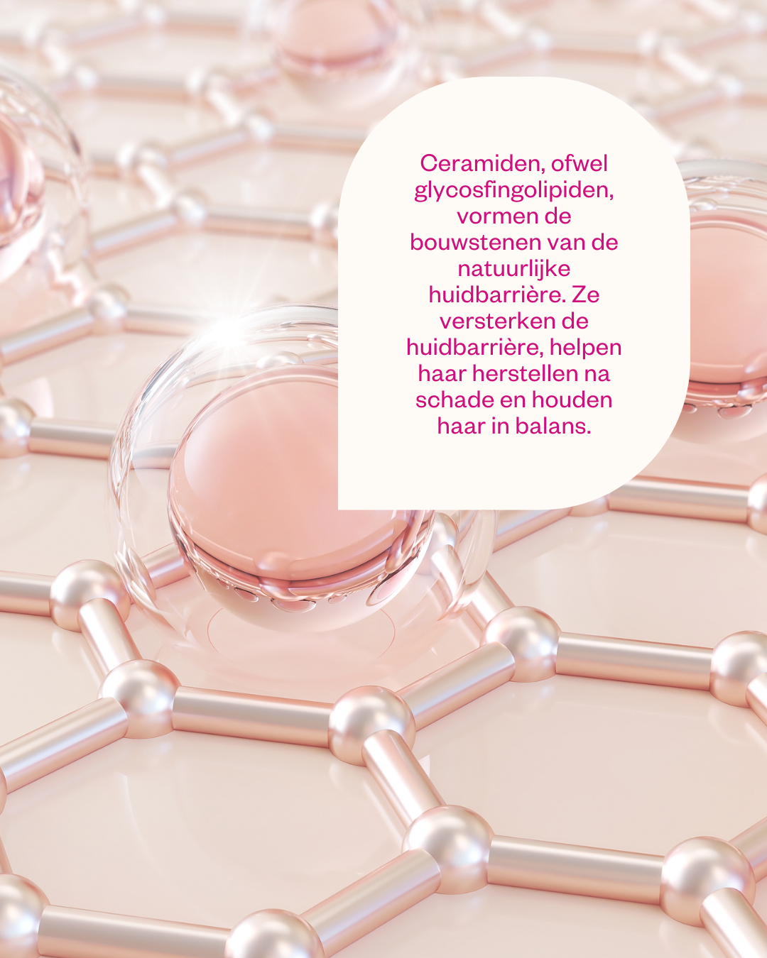 Ceramides &amp; Probiotics Cream - Flow Cosmetics - 50ml