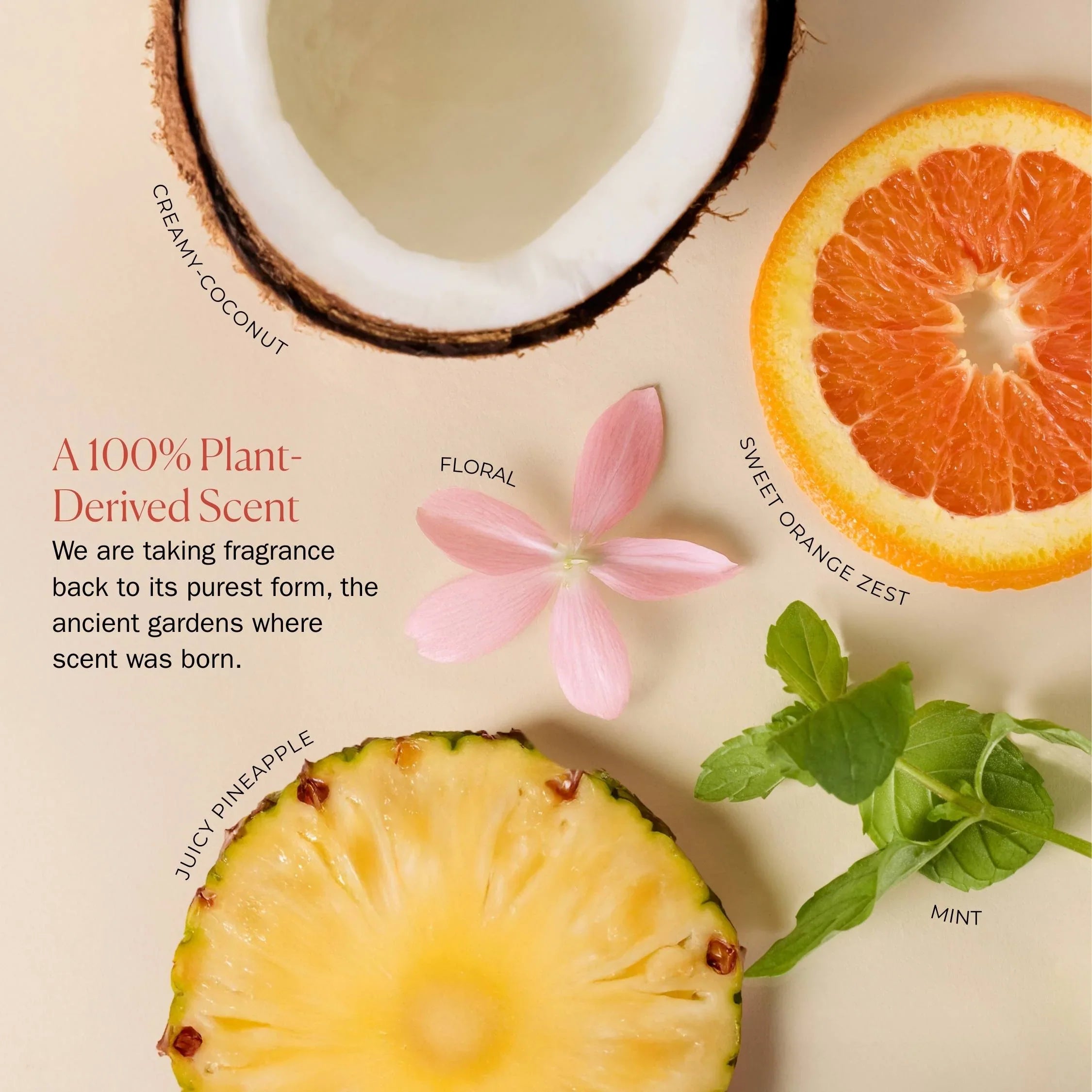 Bounce Curl Weightless Conditioning Mask - 296ml